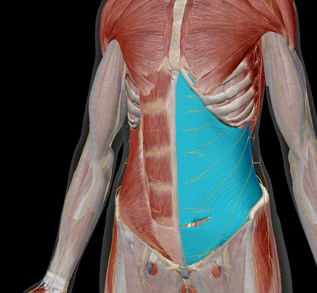Core