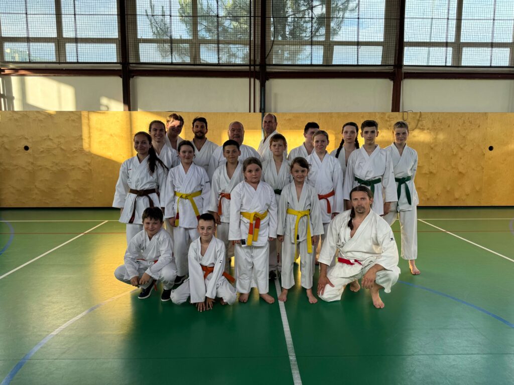 Karate klub